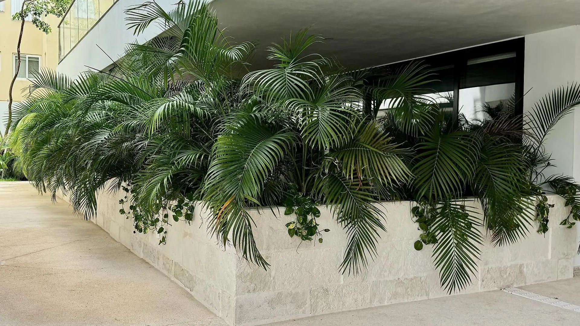 Lovely & New! Super Location Cancun